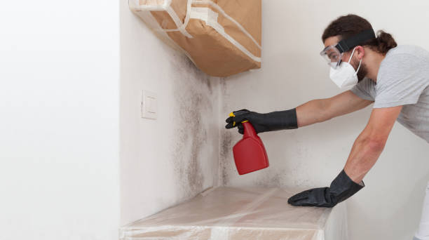 Professional Basement Mold Remediation technician working in Gaithersburg, MD