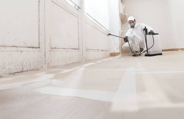 24/7 Emergency Basement Mold Remediation experts in Gaithersburg, MD