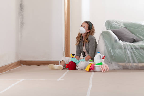 Reliable Basement Mold Remediation contractor in Gaithersburg, MD by WQB Mold Removal